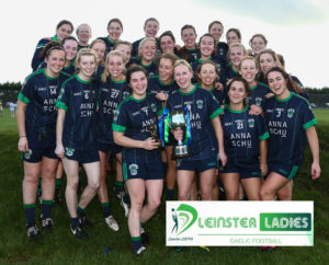 Leinster Ladies Club Senior Final  2015. Foxrock Cabinteely (Dublin) v Sarsfields  - 7st November 2015, Conneff Park, Clane, Co Kildare. - . Copyright of GAApics.com Photography 2015 - All Images are protected under The Copyright and Related Rights Act 2000.Not to be used without expressed written permission from GAApics.com. Mandatory Credit - GAApics.com